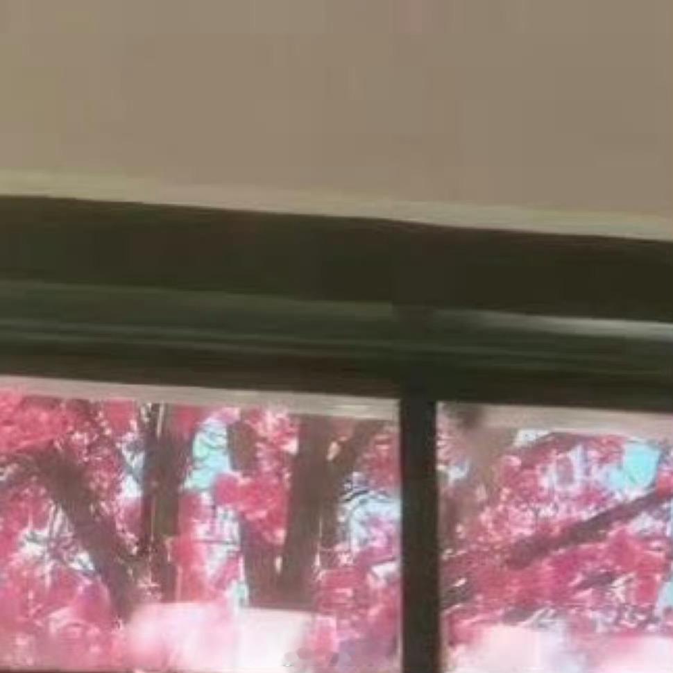 阳光信用每日一善白驹过隙，时光匆匆，每日坚持行善，点滴之功，累积成人生厚重的底色