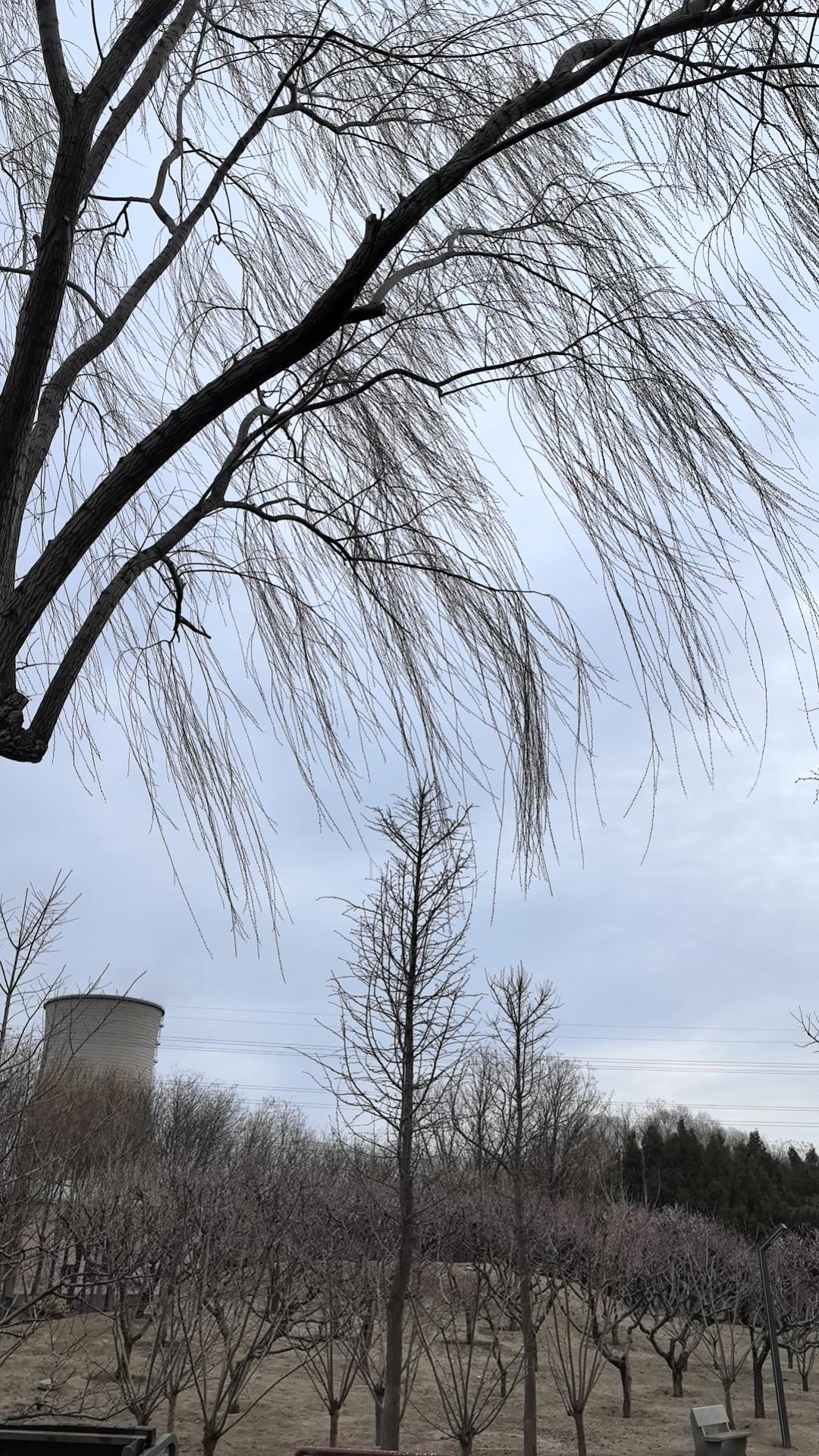 乌克兰又惹麻烦了
近日伊朗官方表示乌克兰向以色列提供帮助，其已成为伊朗合法打击目