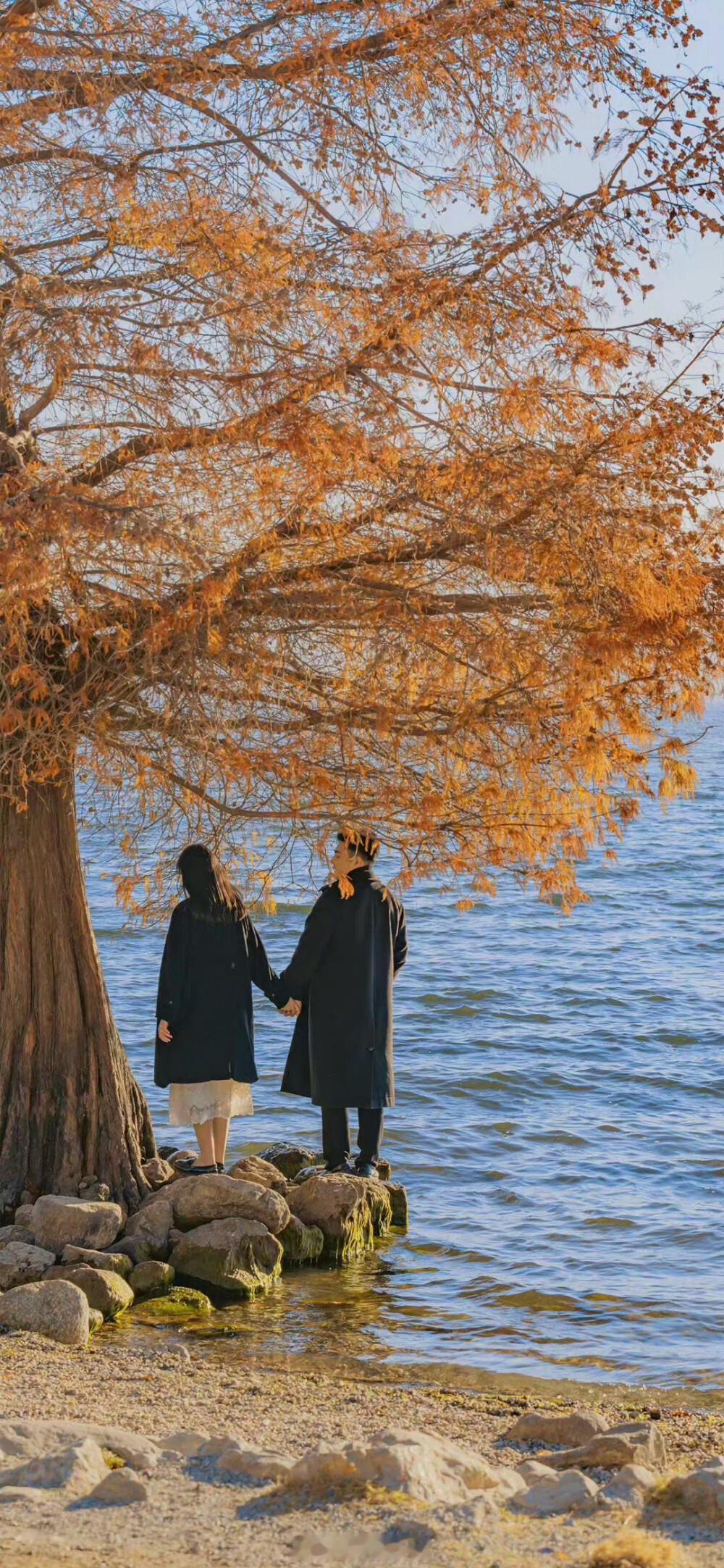 对我来说，你就是多巴胺本身，是我全身愉悦和幸福的根源。—— 曲小蛐《别哭》#早安