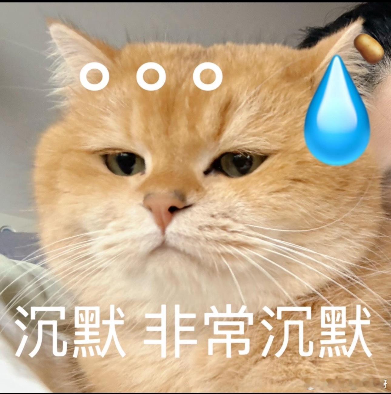 第一，我抽奖的任何东西都是我私人掏钱买的。纯粹是为了数据工作组拉新。第二，我以我