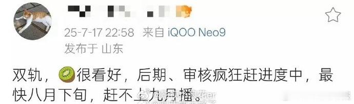 业内看片后对《双轨》评价颇高，细节质感获认可。最快八月下旬播出，精彩剧情要来了，