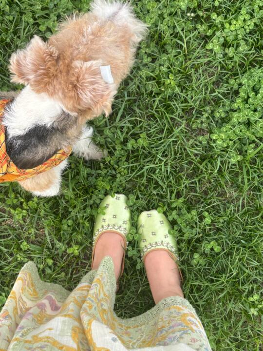 绿绿的 很疗愈🌿