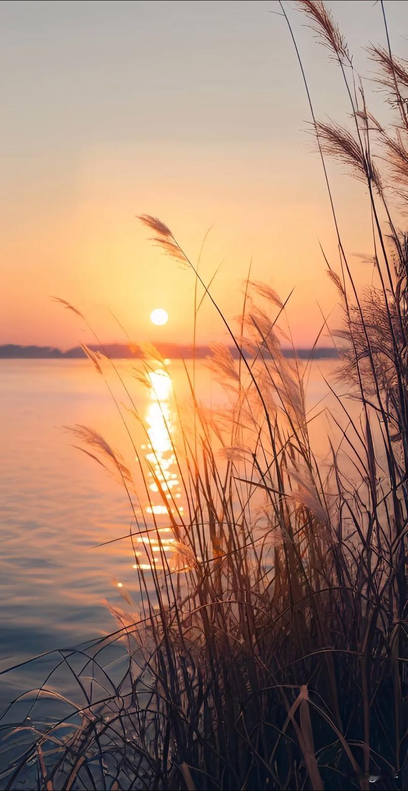 今天真的快气炸了！！！

今天是第一次在互联网上说自己的家事，我是姊妹三个，两个