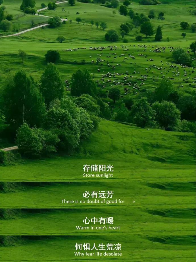 杀疯了的小众无风格朋友圈文案🏪1.“﻿﻿﻿心中若有爱 时间不是问题.”2. “