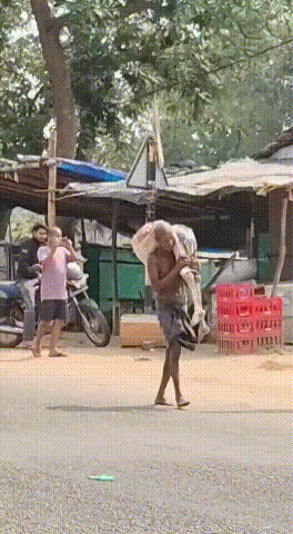 印度男子为取出已故妹妹存款，挖出骸骨前往银行证明死亡
 
印度一名男子为支取已故