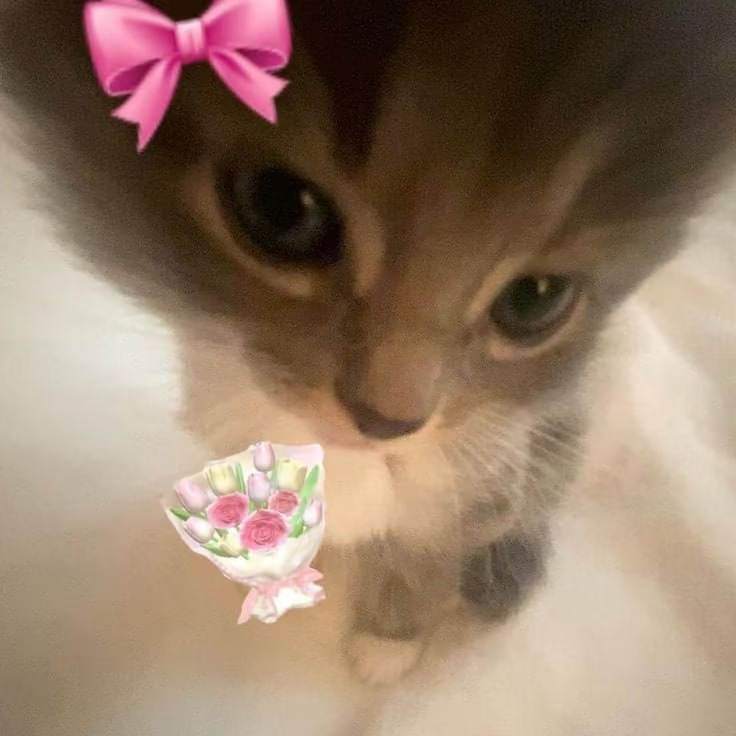 ❤️❤️❤️  专栏 · 奈四の衣橱