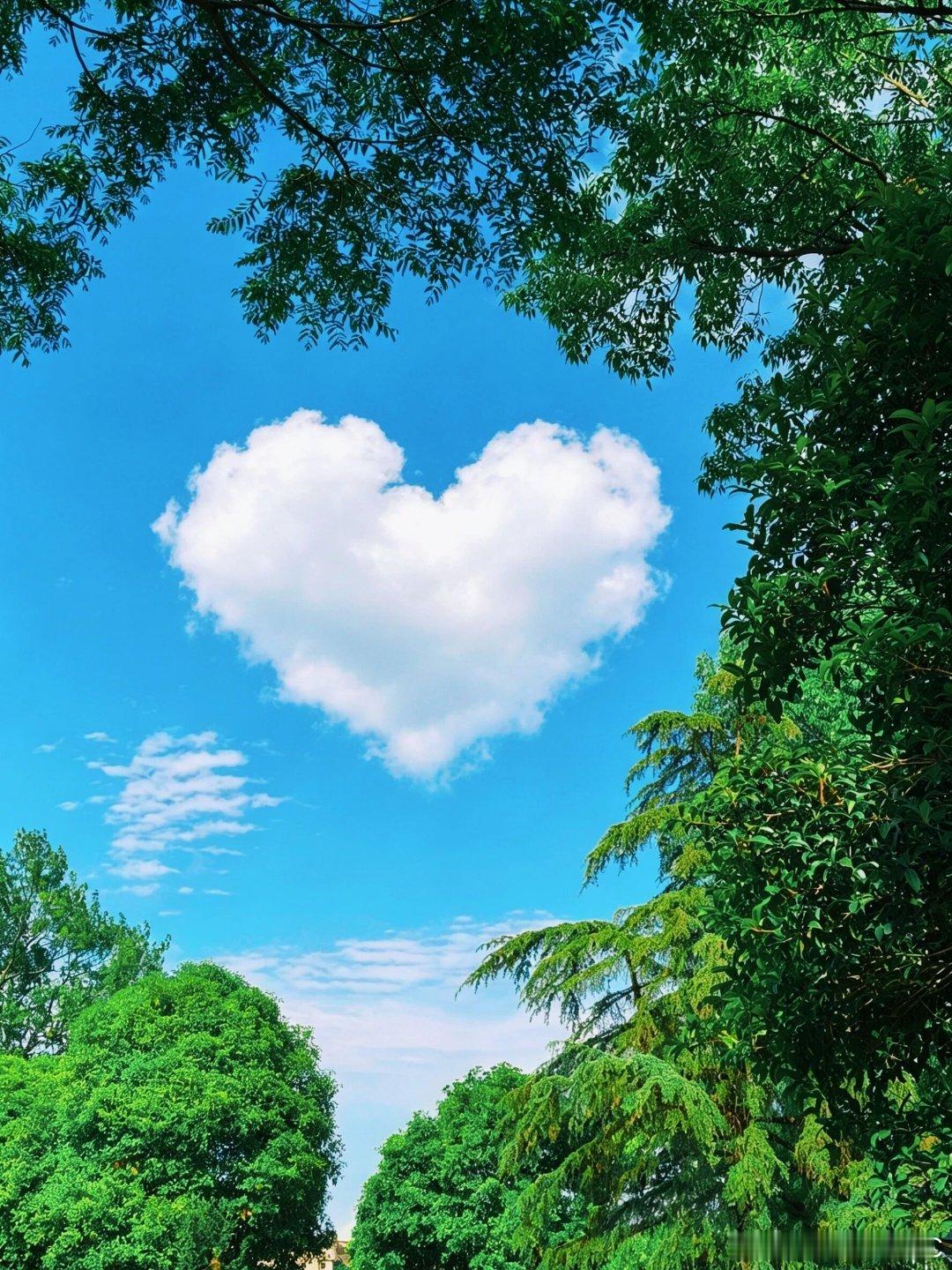 微小说大赛迷你短篇、《相遇》我们在夏天相遇，又走向各自的夏天。蝉鸣最盛的那个午后