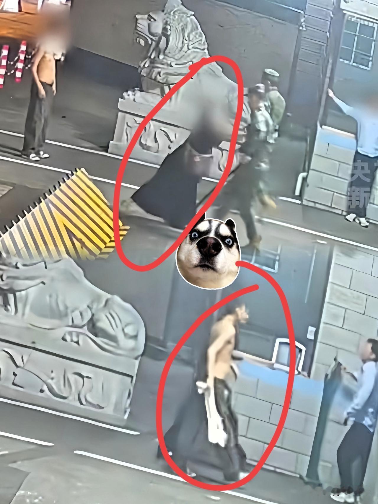 胆子真大！

也不看看地方就撒野

人在绝境下求生欲有多强？四川这大哥给所有人上