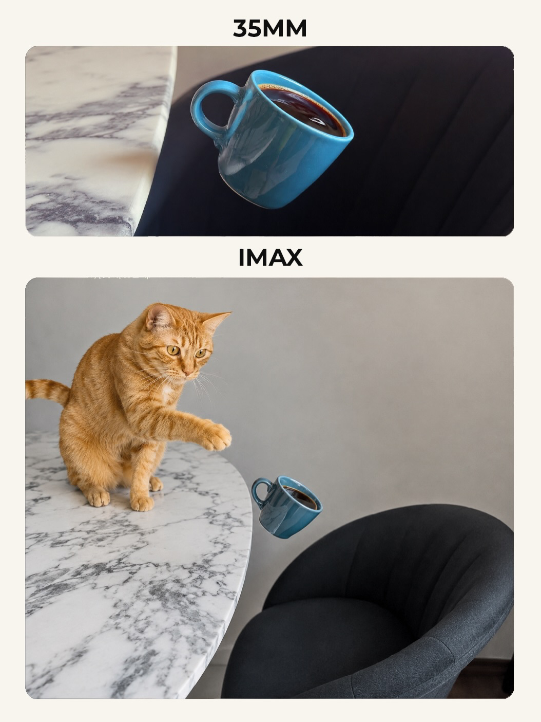 诺兰奥德赛IMAX 谁把猫咪藏起来了？一张对比图看懂35mm与IMAX画幅差异：