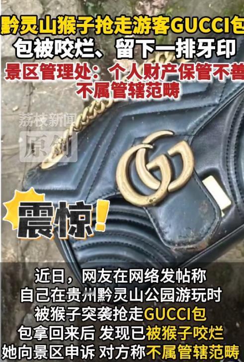 贵州贵阳，一女子在公园景区游玩时，自己的大牌包包被猴子抢走，拿回来发现包被咬烂，