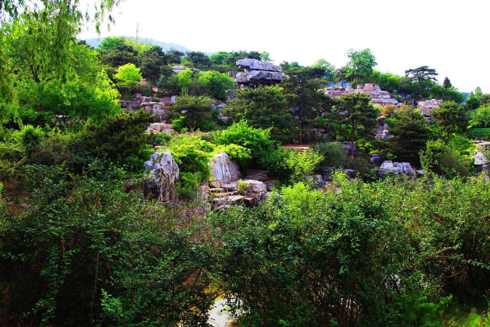 用镜头定格北京最美之秋【深秋时节】🍂🍁电视剧《沉默的荣耀》播出至今热度不减。