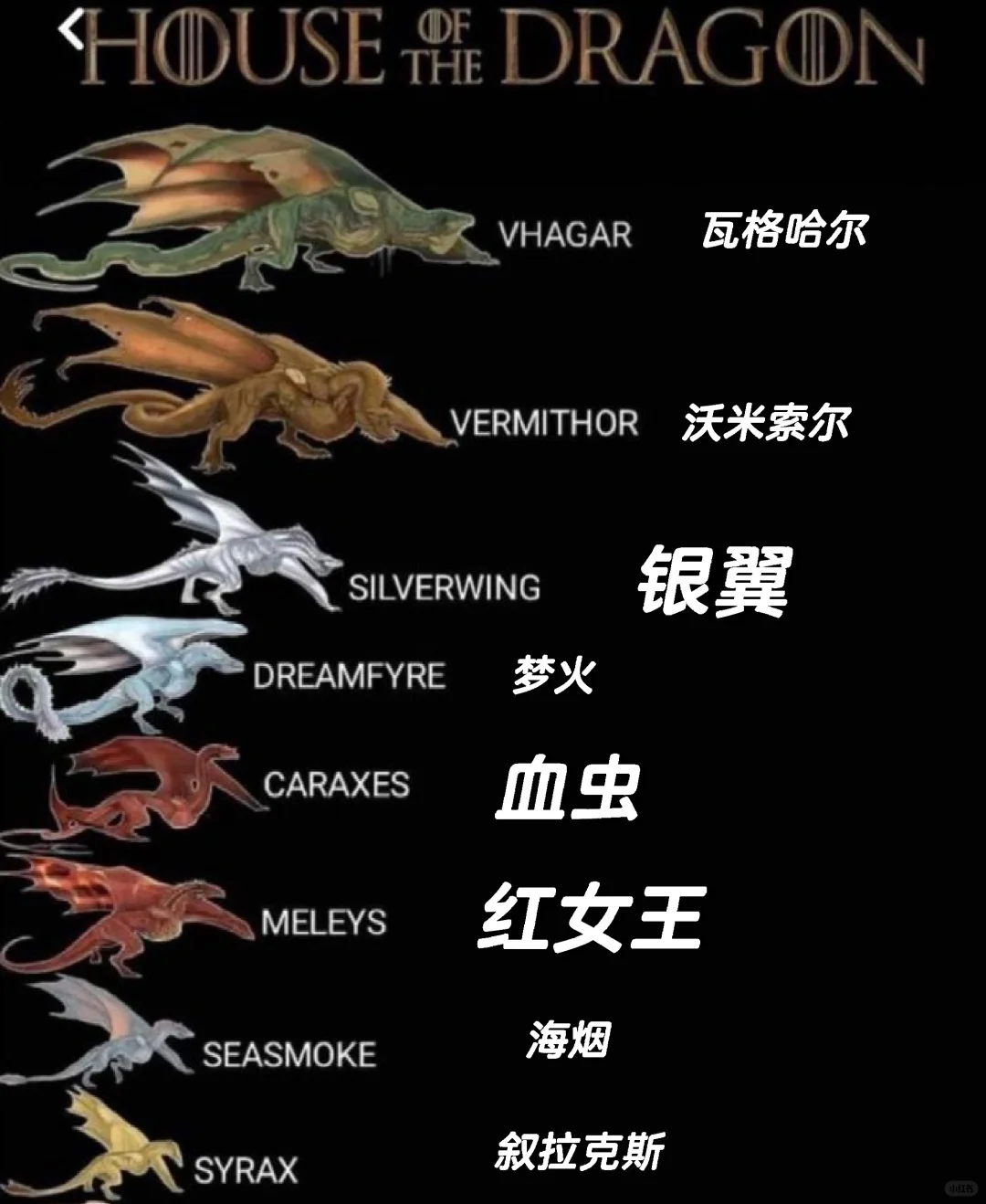 沃米索尔这么大....难怪伊蒙德吓尿