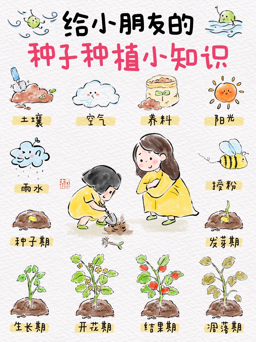 给小朋友的种子种植小知识🌱
