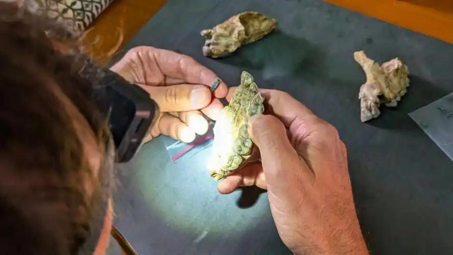 南非近日向纳米比亚归还86具祖先遗骸，其中包括殖民时期被带走、用于研究的人类遗骸