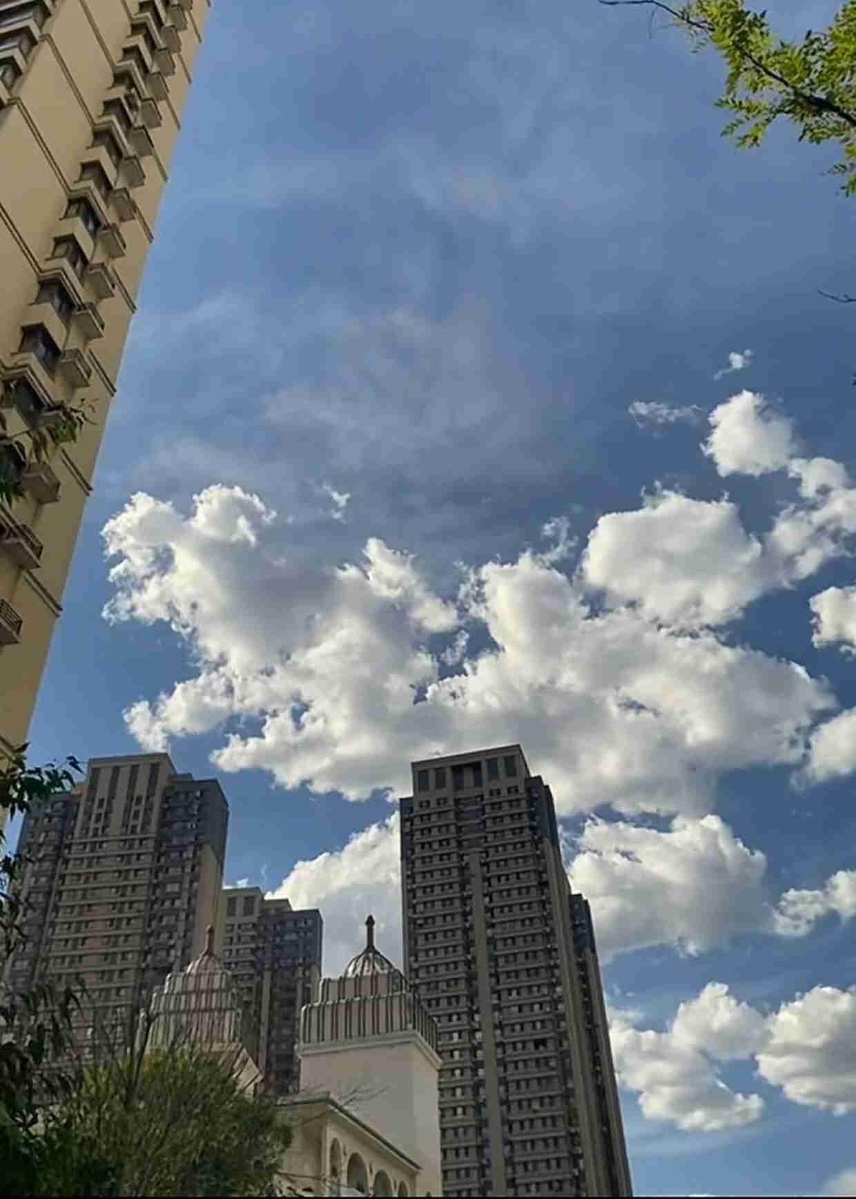 我的今日状态：😁轻松愉快
我这里的天气：☁️阴天

🧸|🅖☻☻🅓 ’͜‘