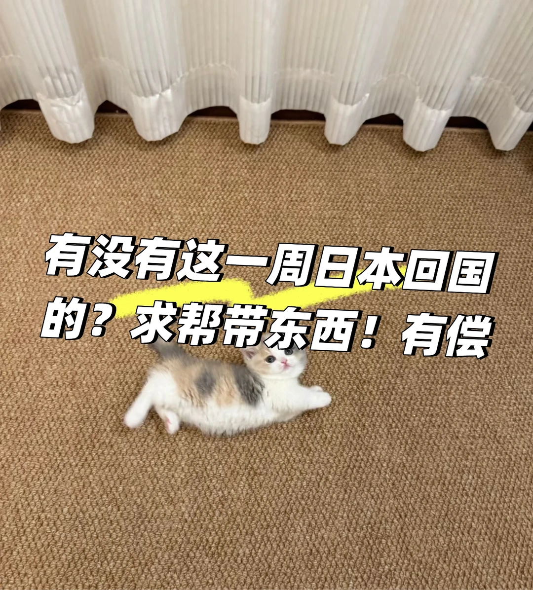 有没有这一周日本回国的，求帮带东西，有偿！