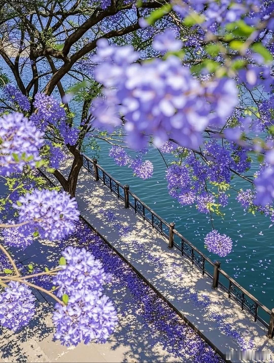 我想看看你的春天 日出江花红胜火，春来江水绿如蓝 