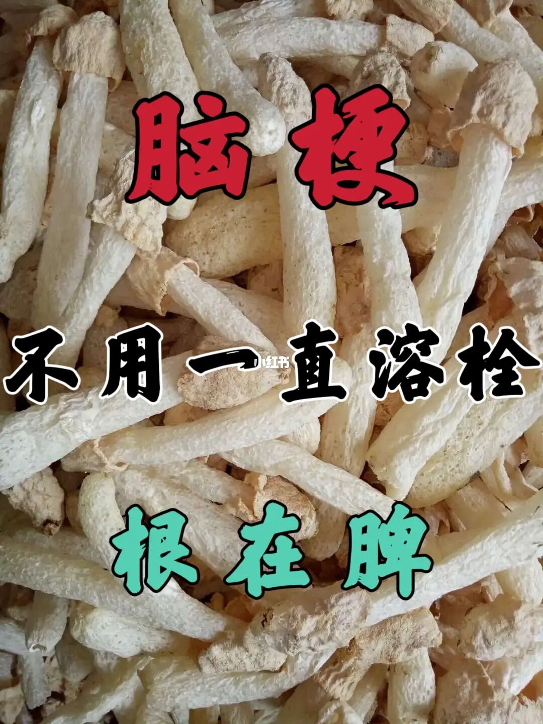 脑梗在我看来，根在脾，没必要一直溶栓
