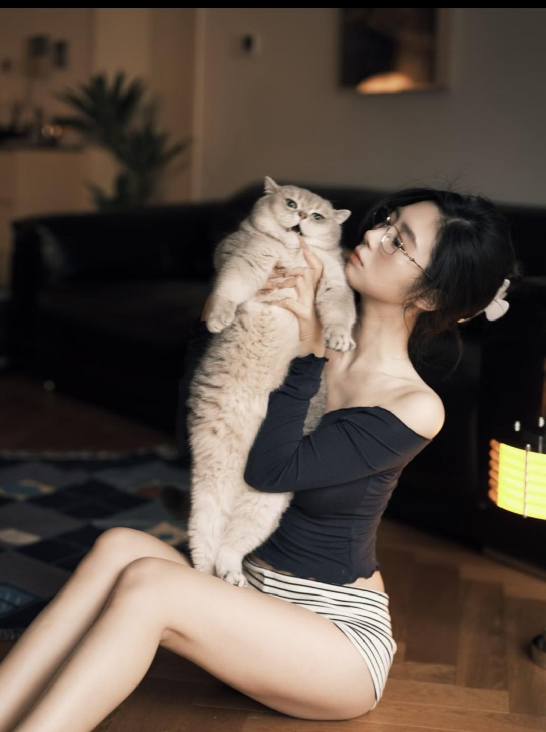 与猫