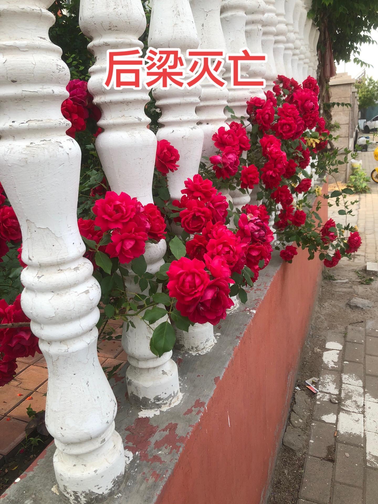 梁末帝自刎 当后唐大军逼近汴州之时，汴州城已经大乱，朱友贞的亲信也都逃...
