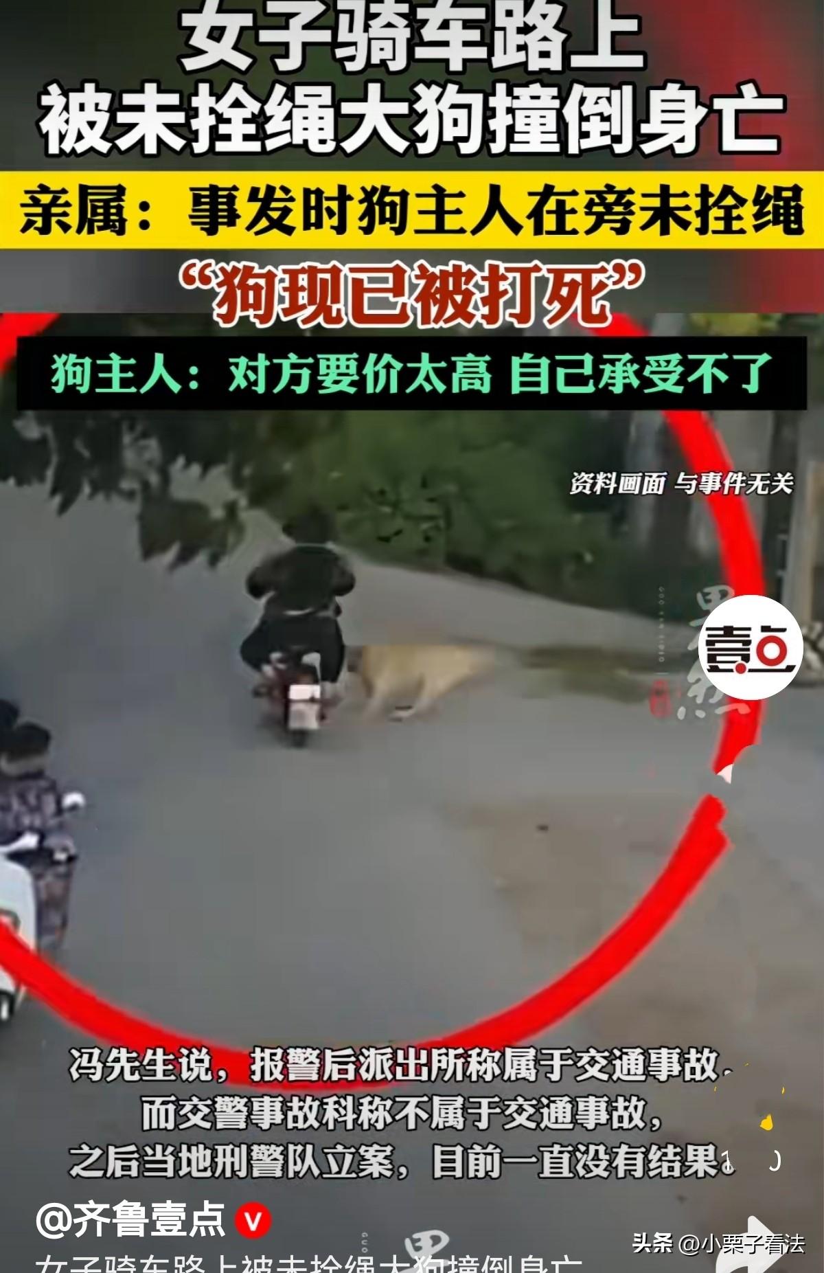 令人痛心！河北邯郸，女子骑电瓶车上班途中，遇到一大型犬，大型犬向车子奔来，女子躲