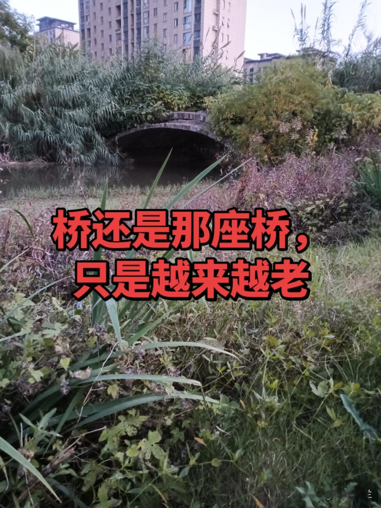 你觉得存钱和买保险哪个更靠谱两个都是把钱交给不认识的人保管，都承诺有收益。不同的