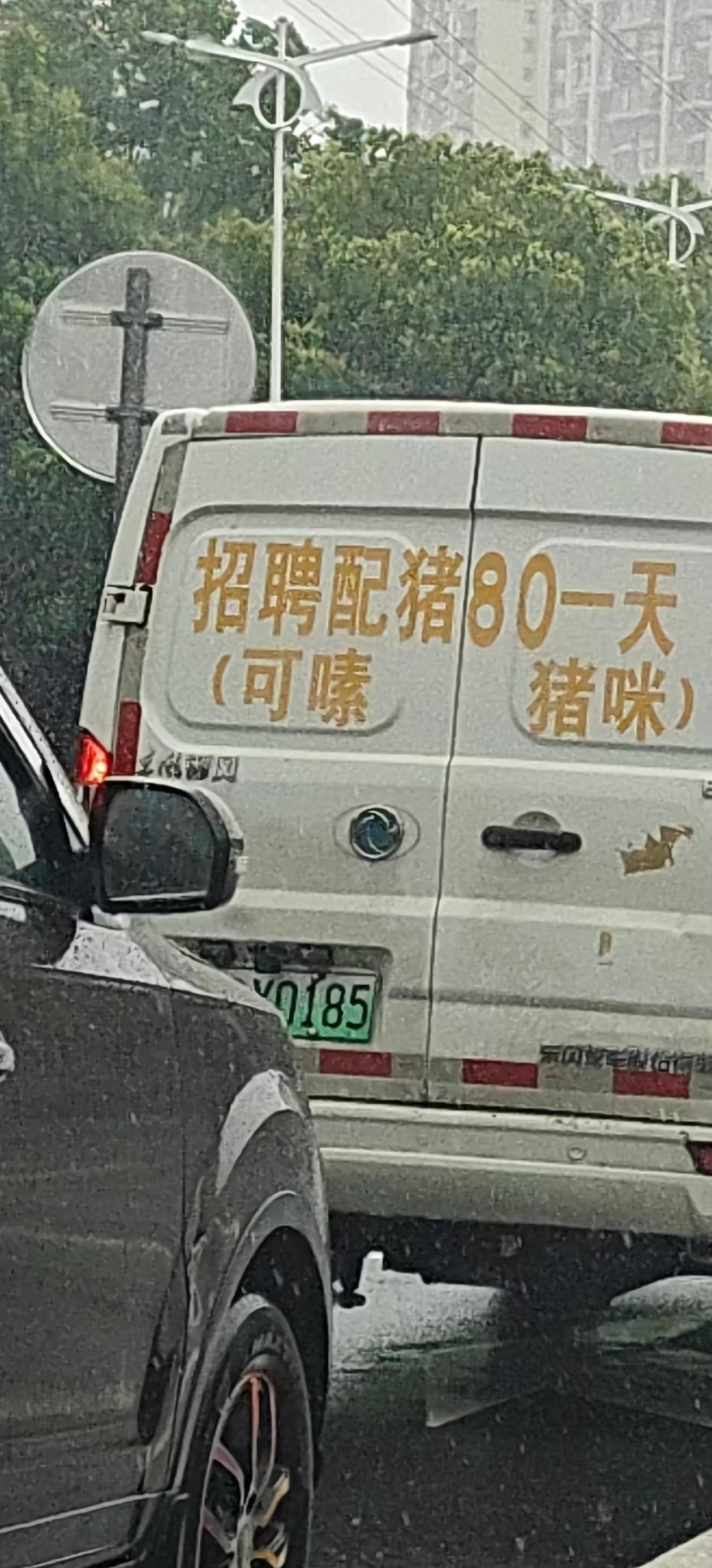 谢谢 