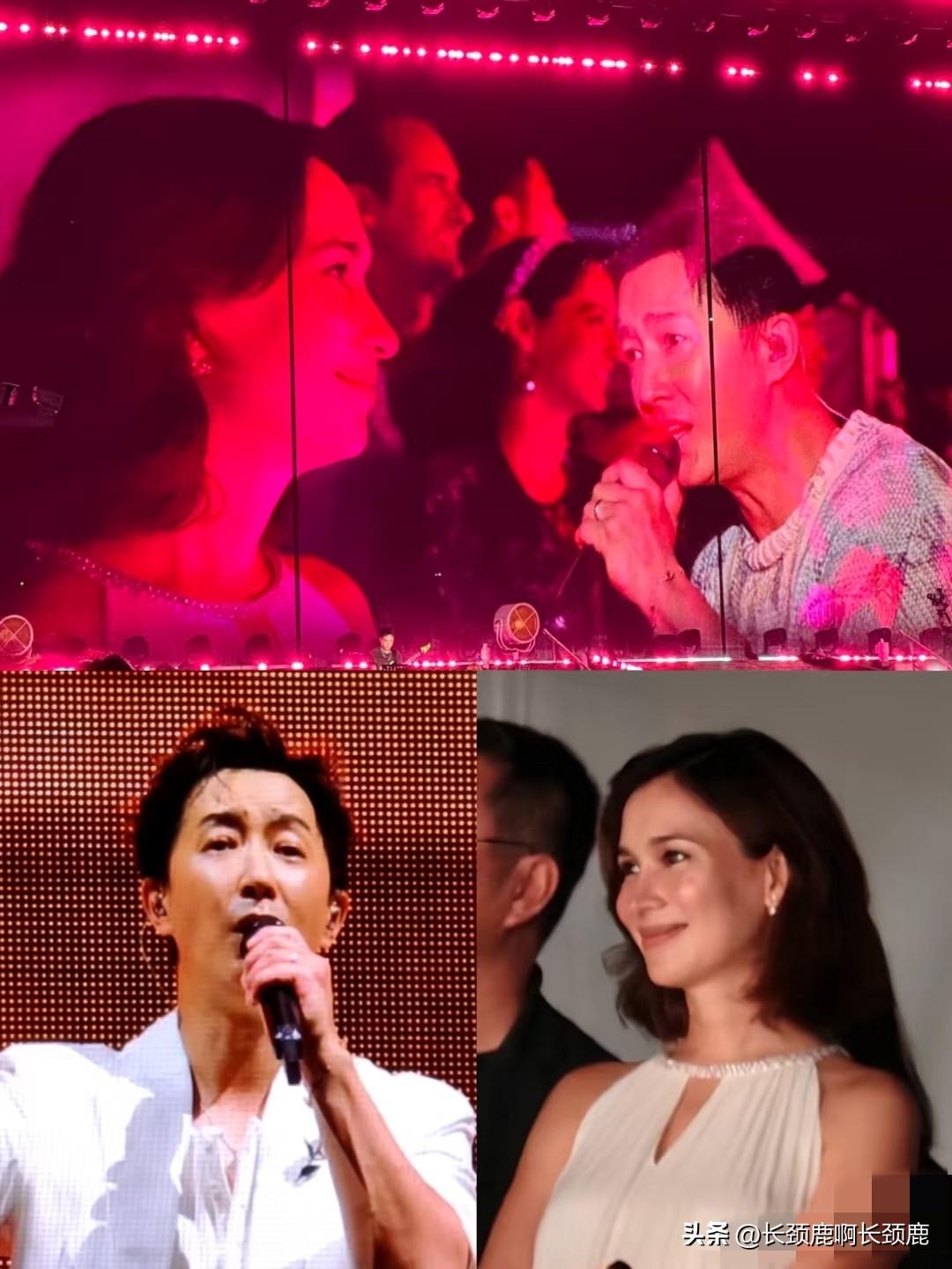 韩庚出道20周年演唱会真的是非常精彩！

坐在观众席上的卢靖姗看着老公在闪闪发亮