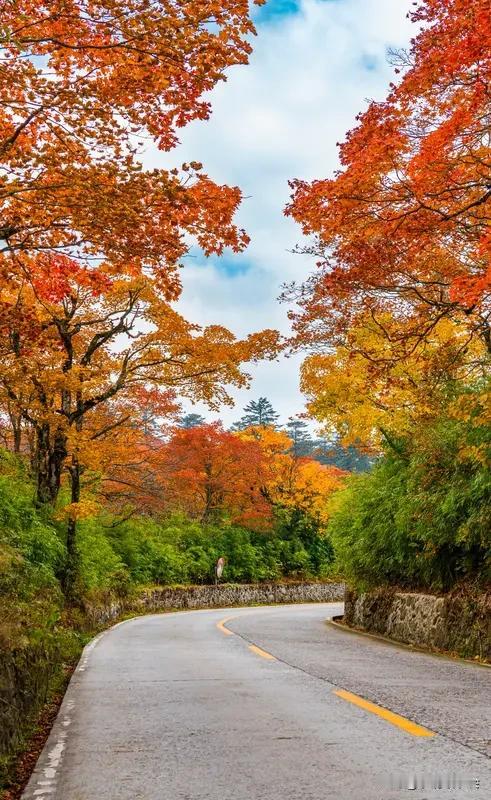 一张图证明秋天来了 一张图就能证明秋天来了？还真行！
就说朋友圈那张“一叶知秋”