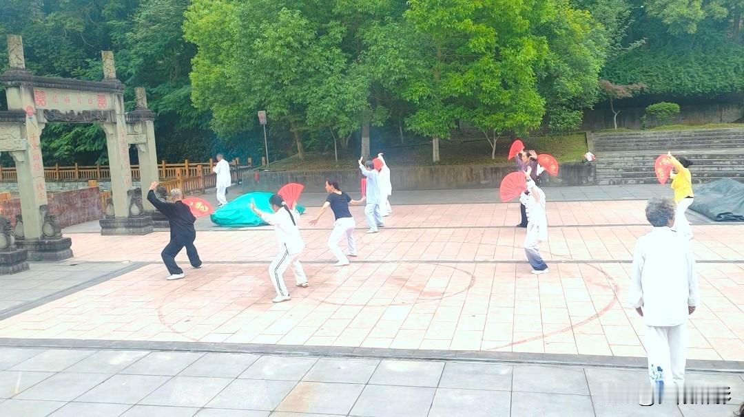 南部县桂博园随手一拍