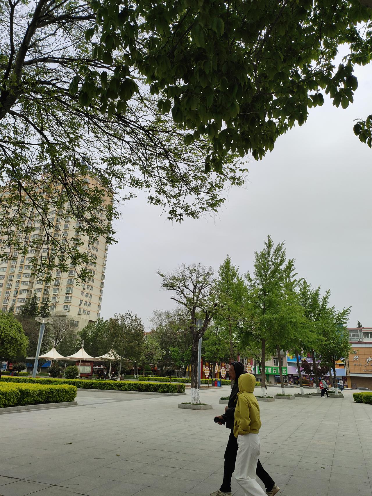 春日生活打卡季春日的公园广场，空气里都是草木的清新。不用赶时间，就慢悠悠地走着，