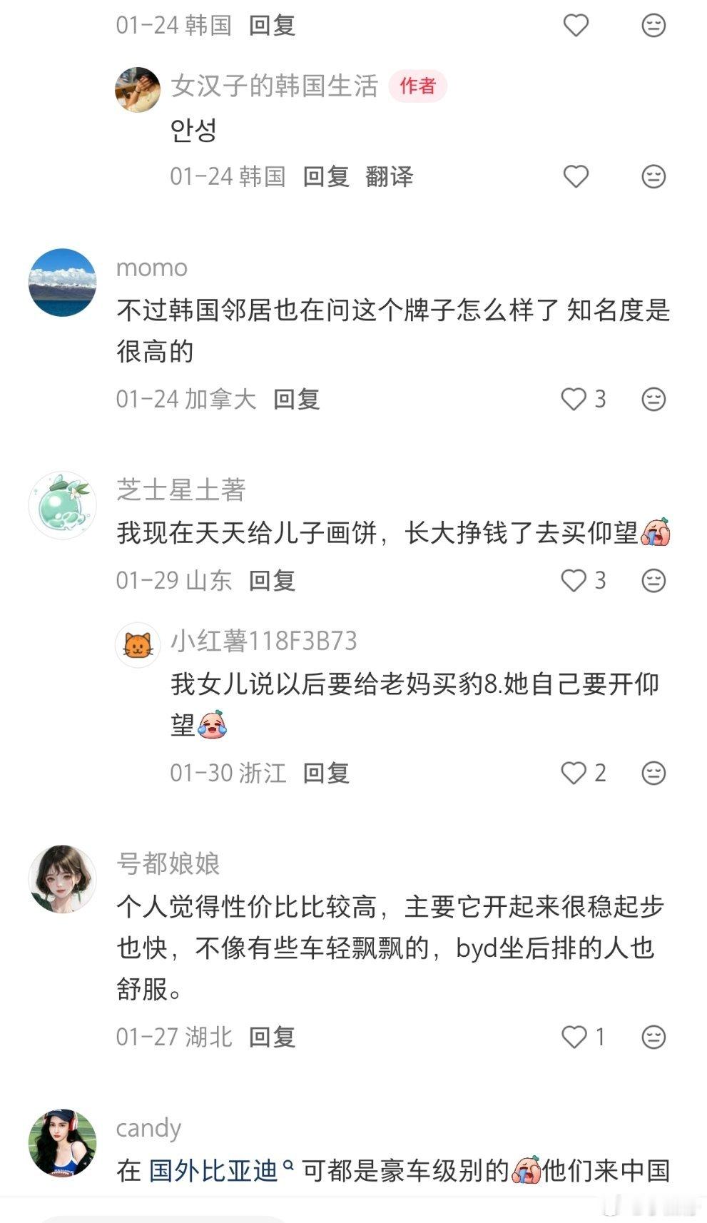 在加拿大的韩国邻居问我迪子怎么样？有点绕，但是看来韩国人确实把迪子作为购车的选择