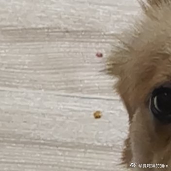 人生最好的修行，就是修炼一颗平常心。看淡得失，接纳无常，不攀比、不焦虑、不执念。