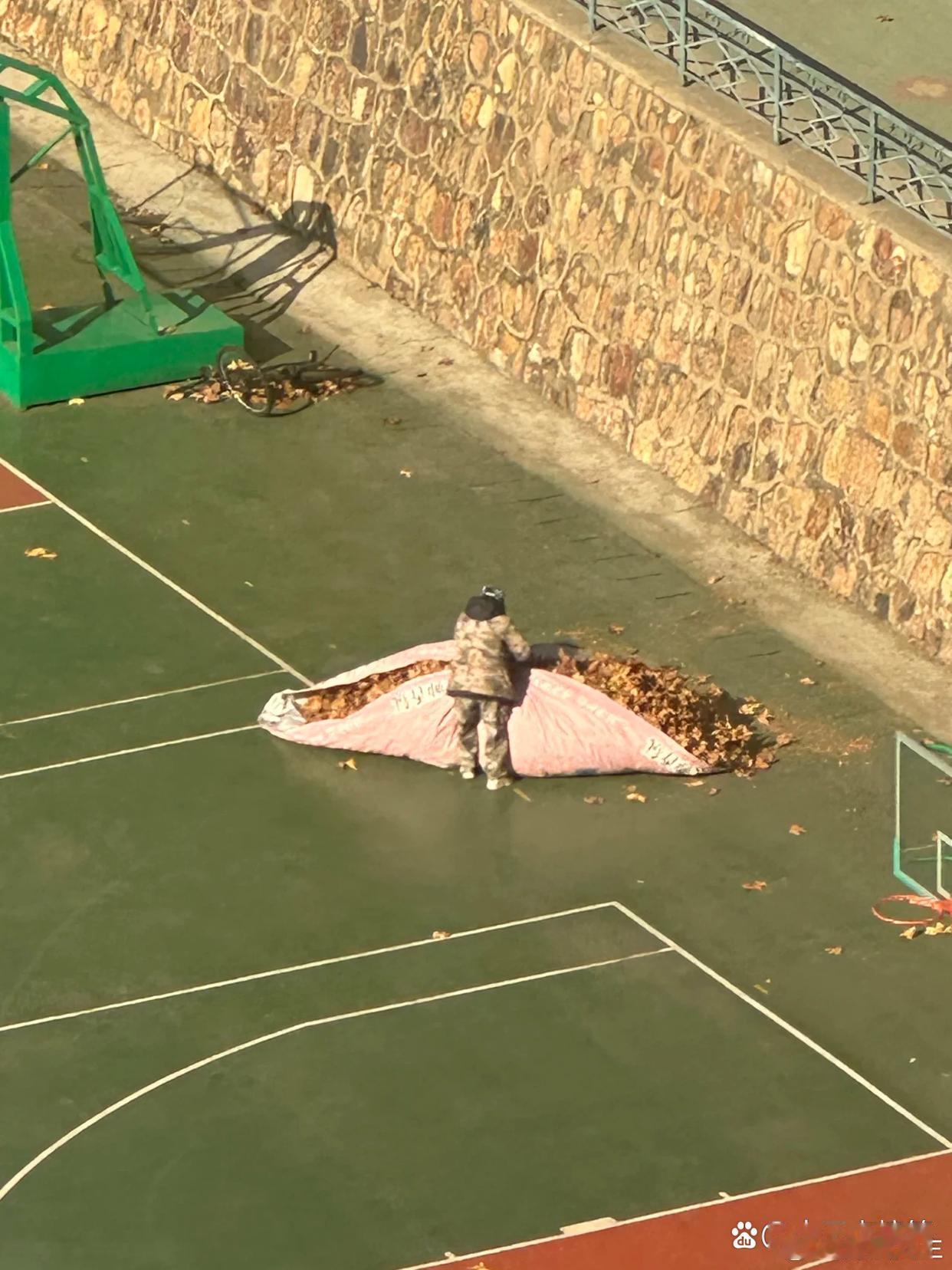 上了大学才知道，原来操场的落叶是被打包走的 