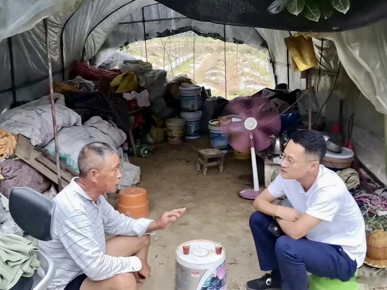 清新福建  6月4日，梅洲乡党委书记林志强深入各村田间地头，实地调研大棚蔬菜特色
