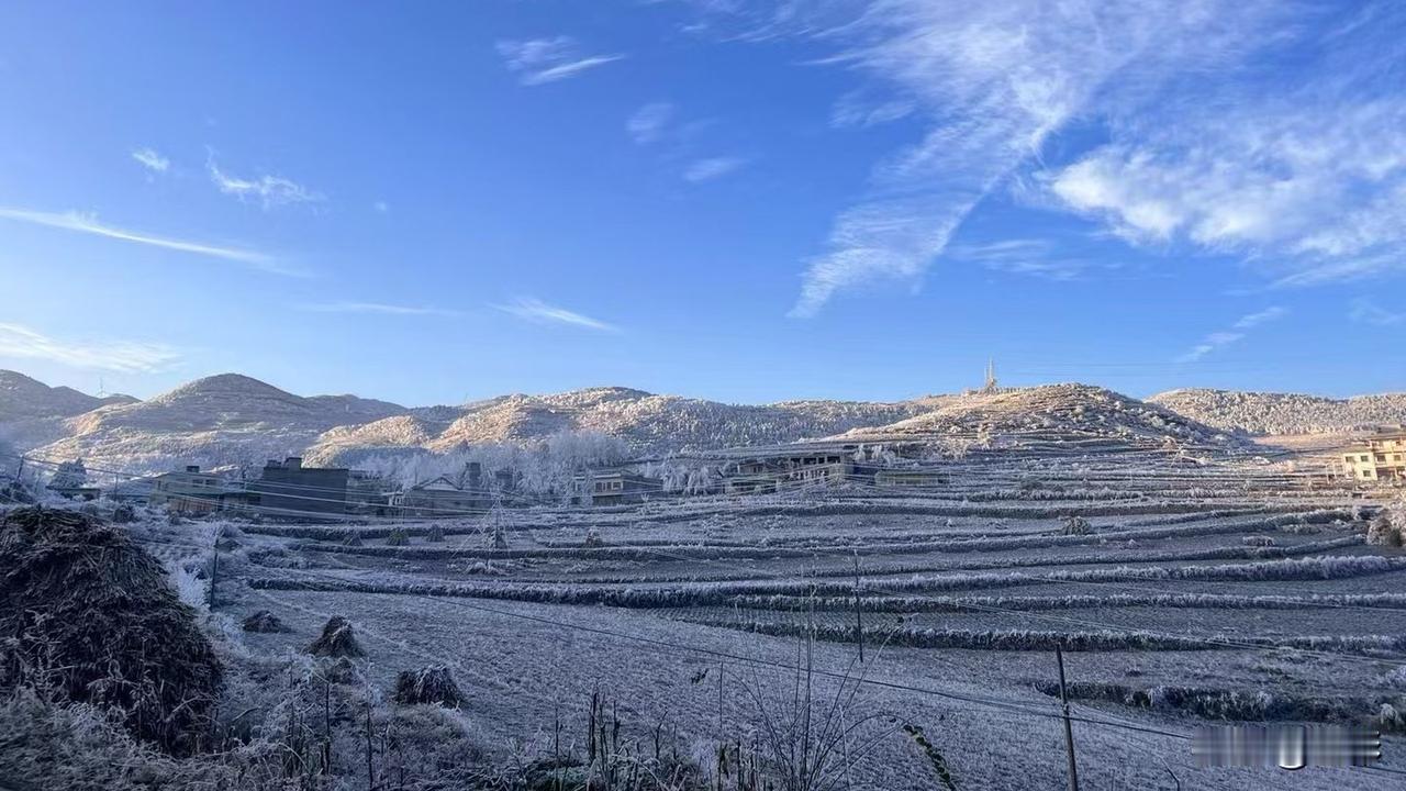 分享一张你随手拍的风光村里的冬天最纯净。
