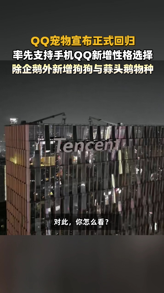 腾讯全新QQ宠物上线停运整整8年，承载80、90后整个少年时代的QQ宠物正式复活