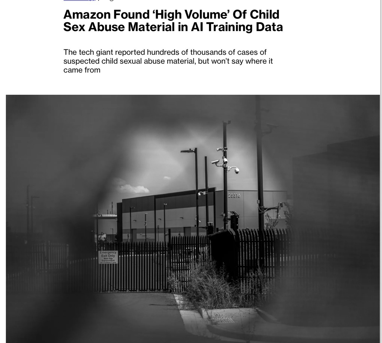 亚马逊公司去年报告称，在用于改进其人工智能模型的数据中，发现了数十万条疑似儿童性