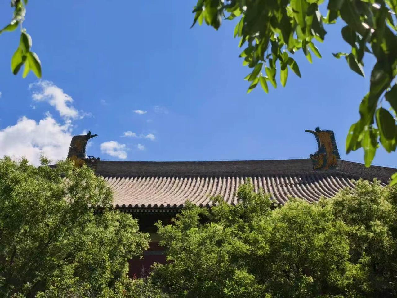 上联“古寺依山林鸟静”，给人静谧幽深之感，我对下联“空阶伴月松鹤闲”
石阶的深处