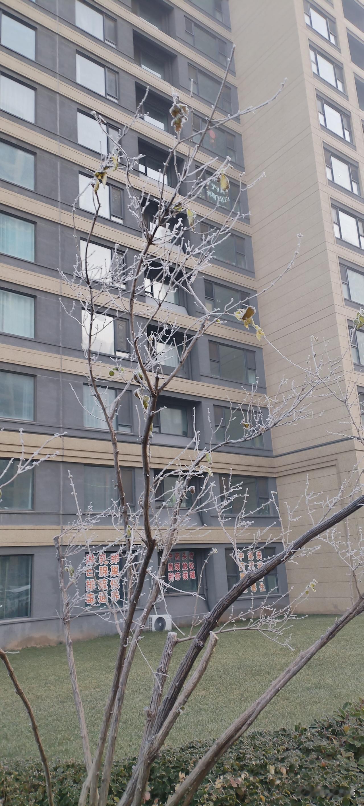 在西方，清朝男人的辫子，早就不是发型那么简单了。

近代西方画师笔下的辫子，大多