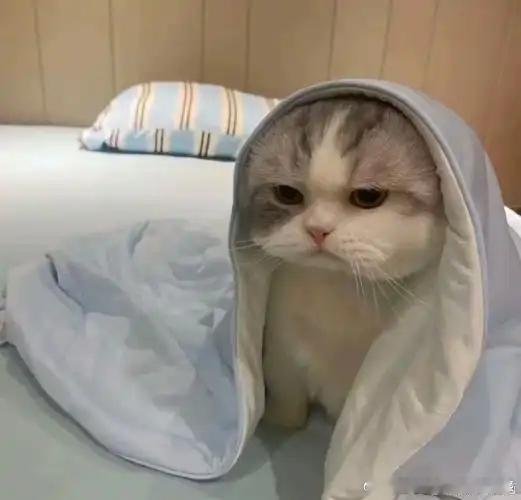 为什么教师行业没有起床气教师行业的起床气有延时好吧？具体延但哪堂课因人而异好吧？