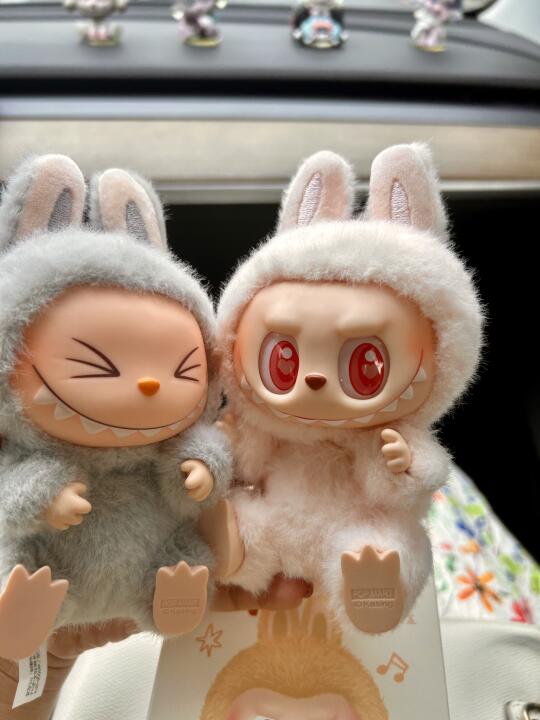 八月的第一天收到了拉布布🎁