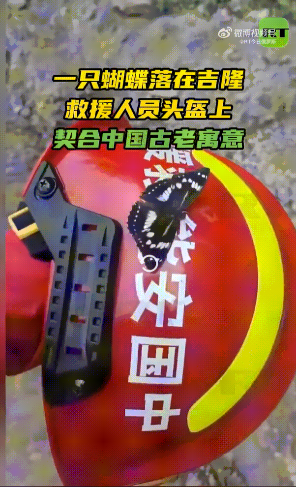 我的眼泪哦[流泪]……这是“今日俄罗斯”发的？看来，还是大毛更懂中国人啊[凝视]