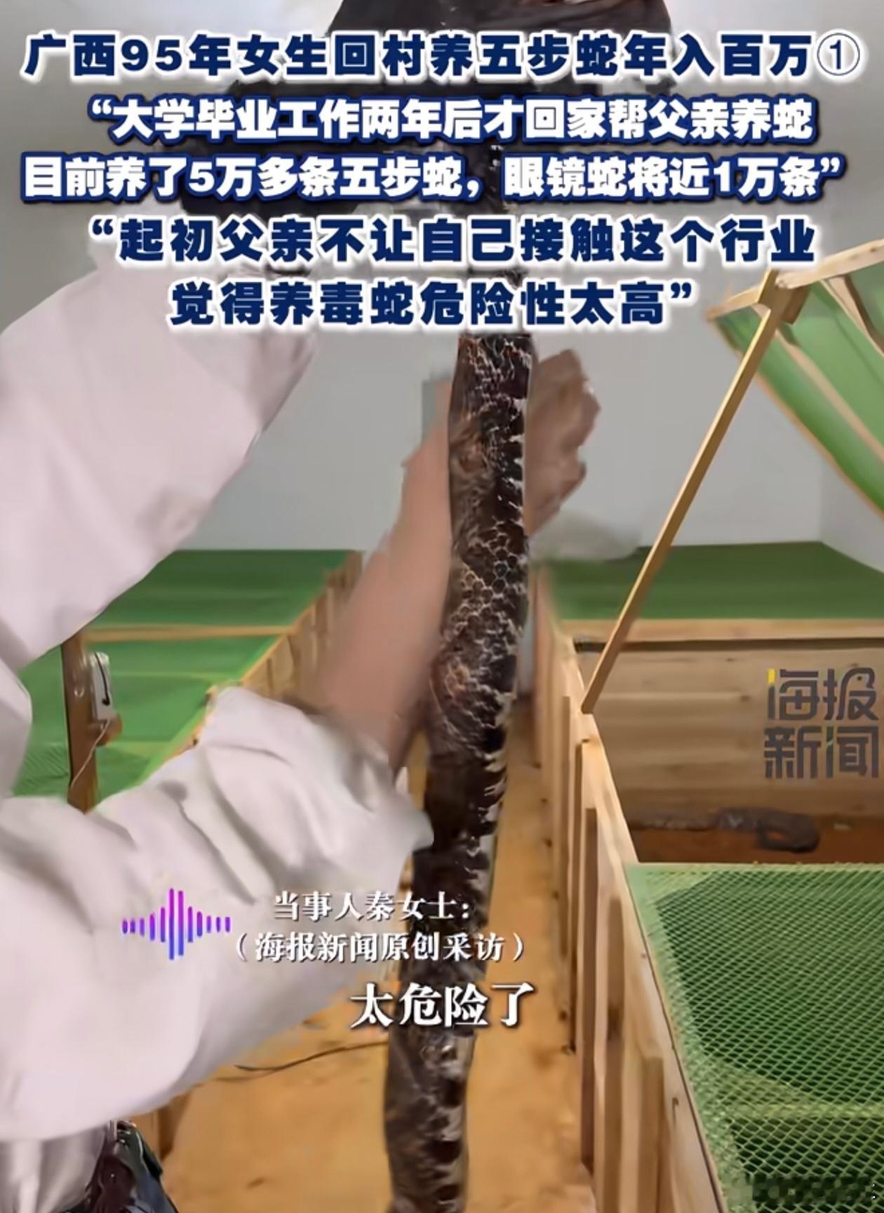 95后姑娘养6万多条毒蛇年入百万真不是一般人能干的活，天天跟毒蛇待一块儿，稍微大