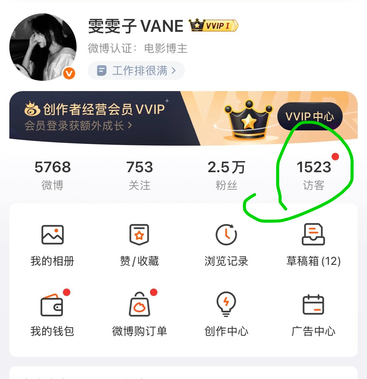把这个访客给我移走！谁要看访客！还我视频栏！