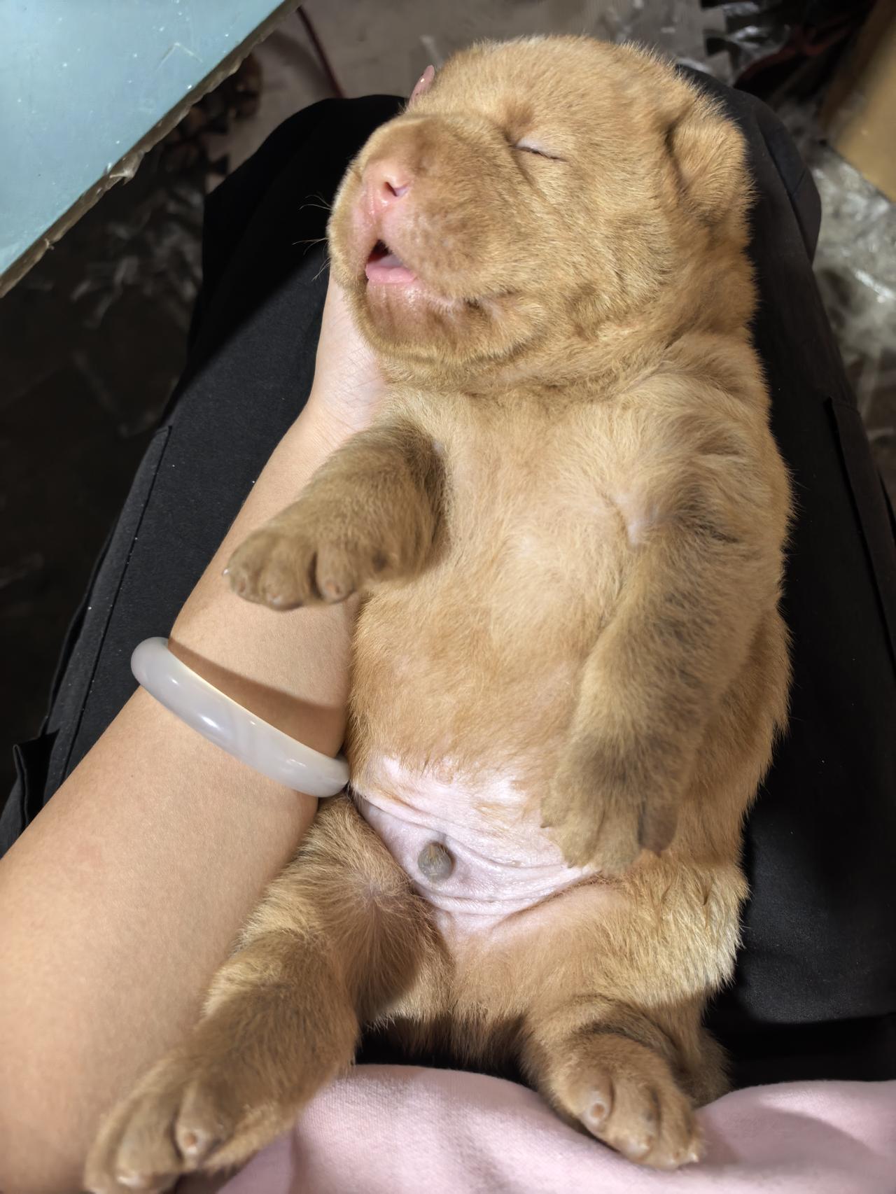 闻着刺鼻的辣椒味，我把筷子啪～的一声拍在桌子上。
委屈道：“我想吃生腌虾了。”