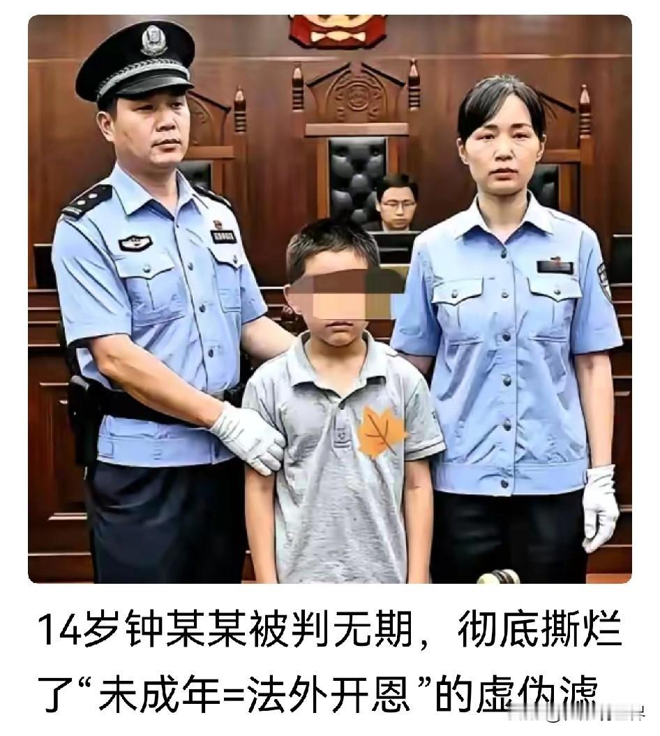 14岁杀同学判无期仍遭怒怼：低龄恶性犯罪，“年龄线”真能兜住安全吗？
 
看完深