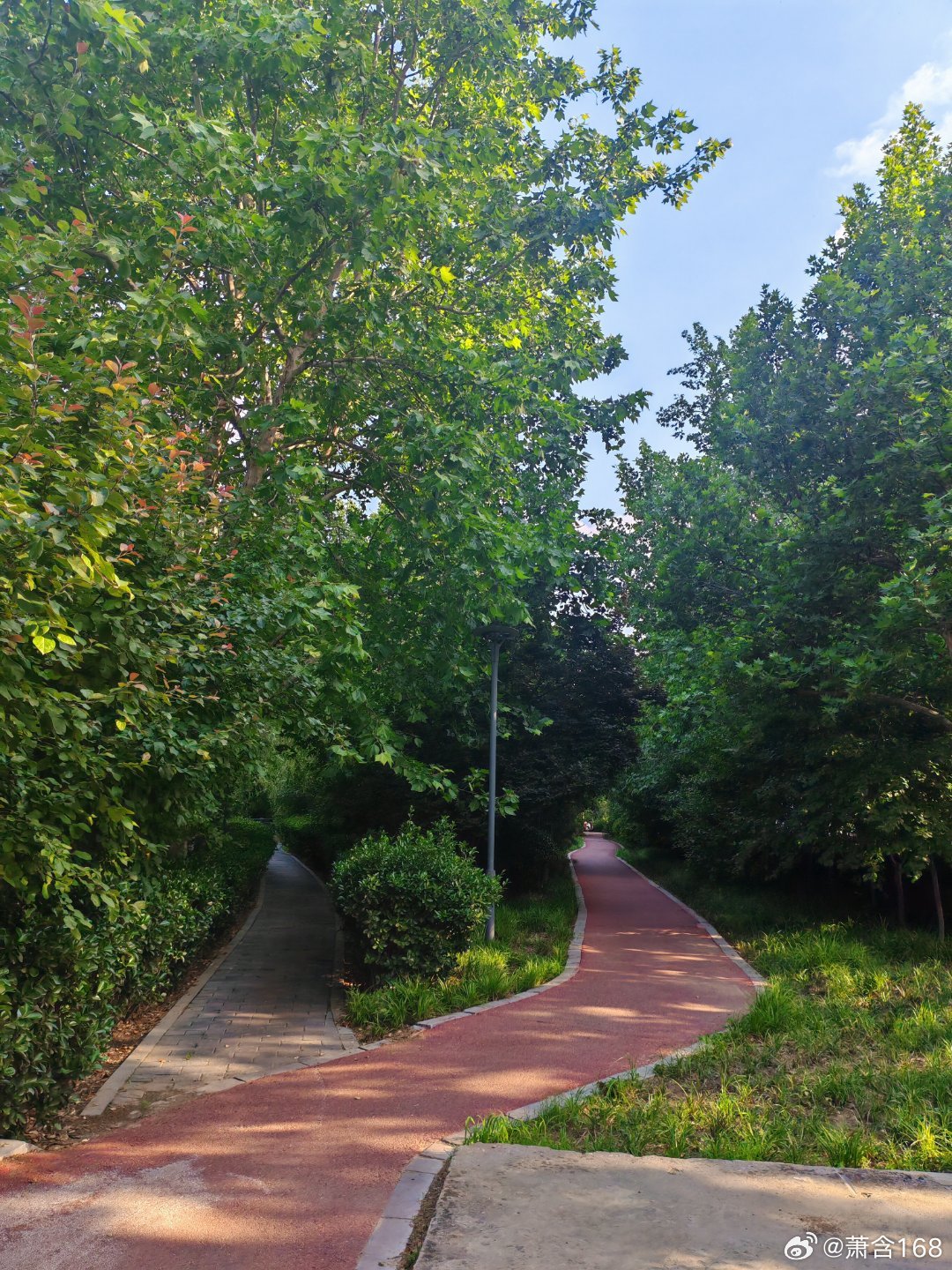 【晚霞吟】华清北街民心河西侧街边公园里，有三座错落有致的无名小亭，吾名之曰“绿波