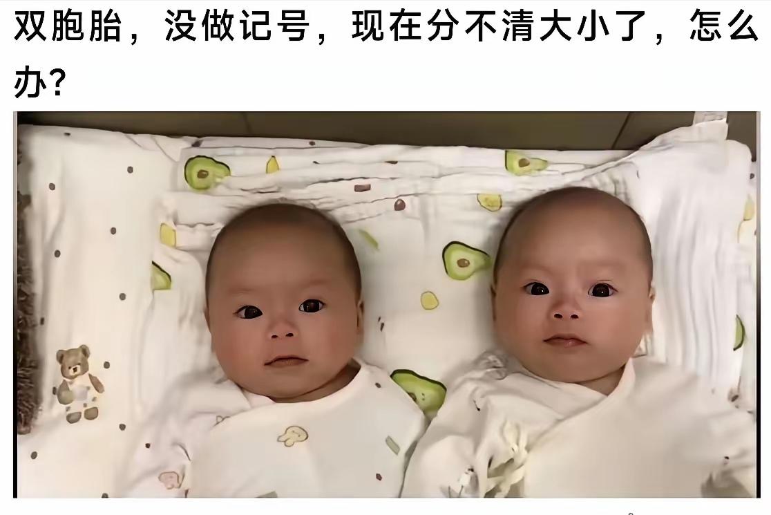 怎么办啊？一家人怎么这么粗心大意，大型家庭难题现场。
双胞胎没做记号，现在认不出