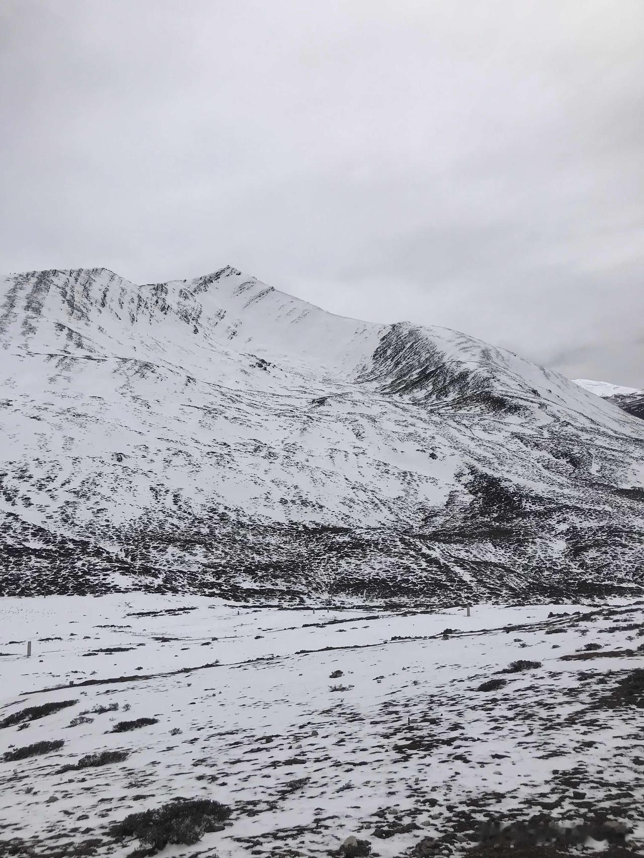 尽管清明节假期已经过去好几天了，但屡屡回想起前几天去道孚看杏花，依然心旷神怡，所